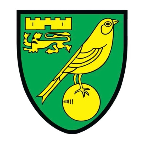 Old Norwich City Badge till 2021-2022