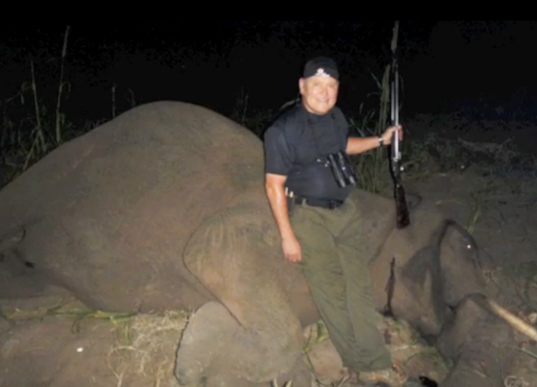bob parsons elephant killing