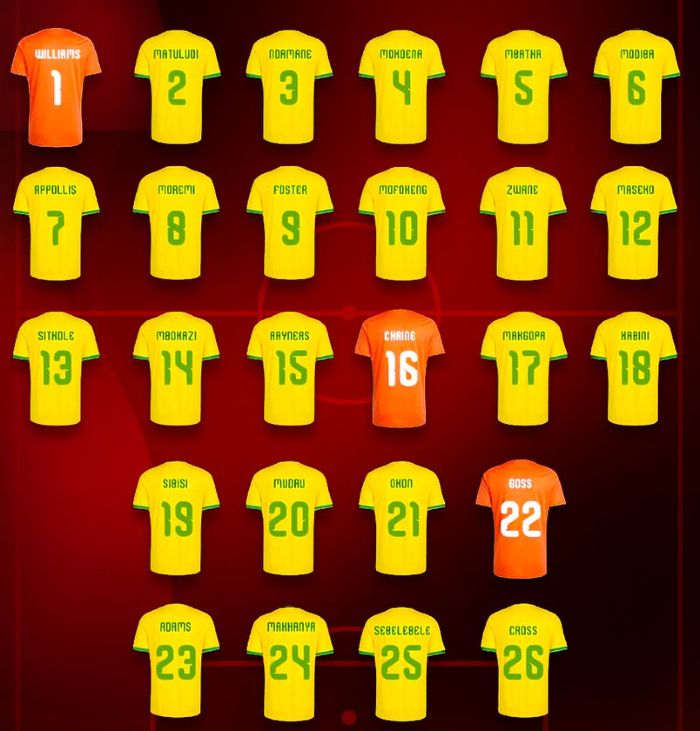 South Africa Shirt Numbers World Cup 2026